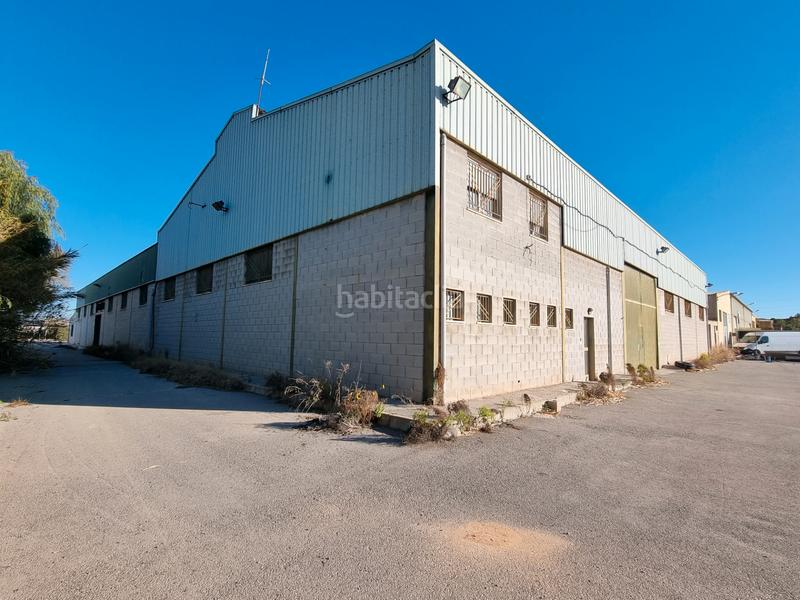 Foto a0b340a3-4912-4cad-9583-f934c496ac4b. Capannone industriale in camino entrepinos c 15 in Aspe