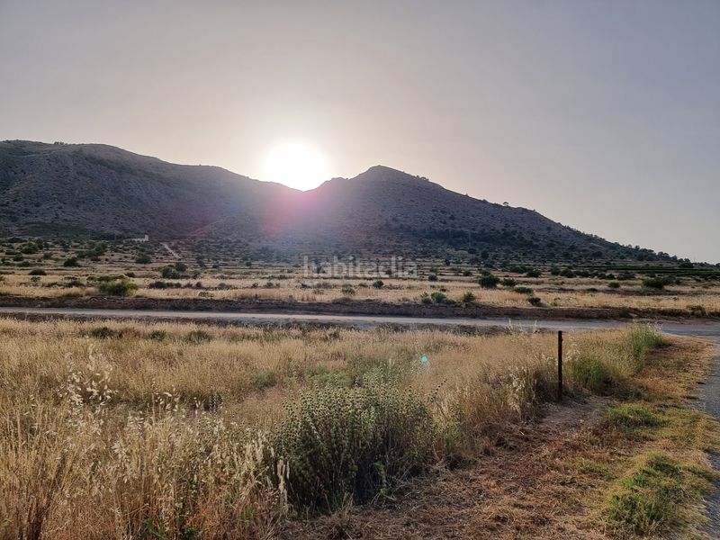 Foto 0ecb0027-5971-4b67-9d03-959f248b7987. Finca rústica a cv-844 3 a Pedanías Oeste Aspe