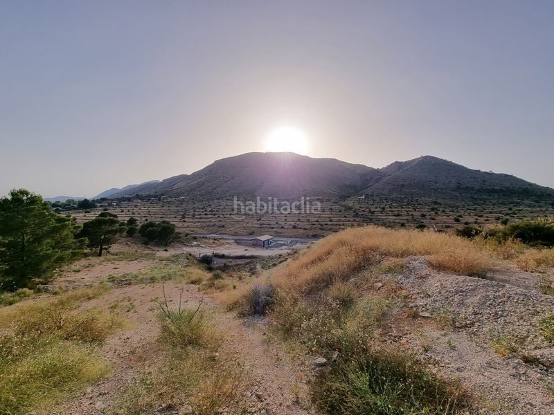 Foto 2cc6d82d-4818-46a4-b808-0bcc3b98f422. Finca rústica a cv-844 3 a Pedanías Oeste Aspe