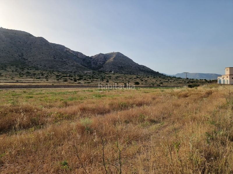 Foto 320c5220-7602-4e83-ae08-da9bd68ff137. Finca rústica a cv-844 3 a Pedanías Oeste Aspe