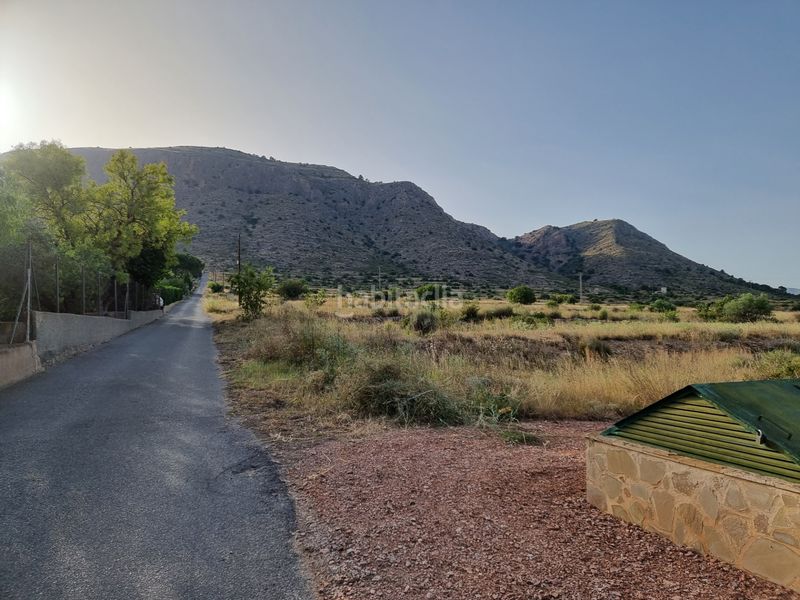 Foto a238a071-7163-4100-a892-c152d94b6859. Finca rústica a cv-844 3 a Pedanías Oeste Aspe