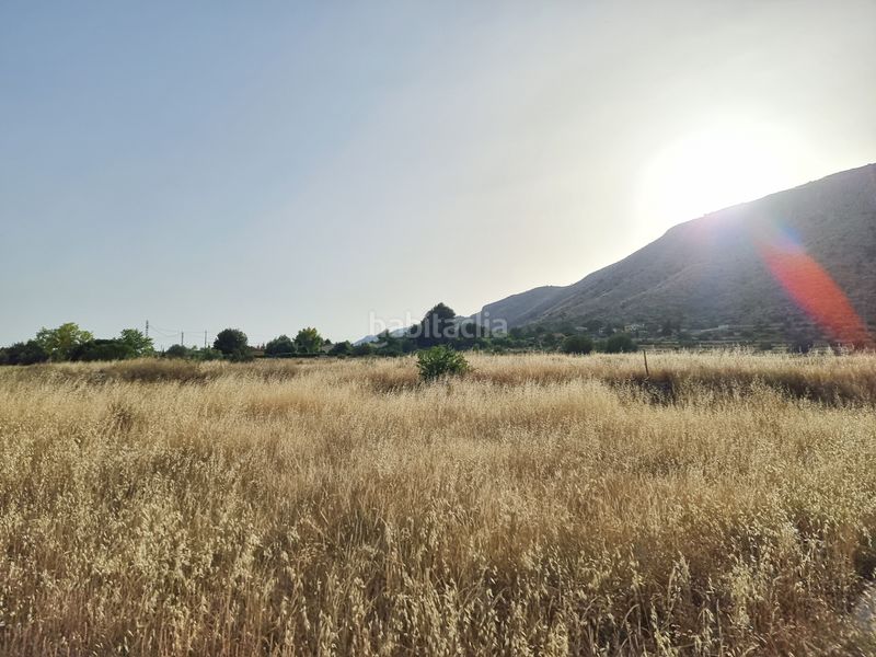 Foto bd9424e1-8faf-40b5-bb37-34f8fd7b469d. Finca rústica a cv-844 3 a Pedanías Oeste Aspe