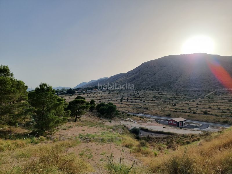 Foto eb374fcd-19ae-4e2b-b04c-70c13e2f8cf4. Finca rústica a cv-844 3 a Pedanías Oeste Aspe