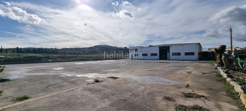 Foto 0e00051d-d3b0-471e-a5cd-84cb8a31e578. Nau industrial a camino entrepinos a 4 a Pedanías Este Aspe