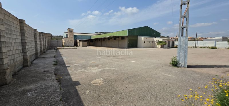 Foto 47d23451-461a-4bcf-a6b5-eec903087194. Nau industrial a camino entrepinos a 4 a Pedanías Este Aspe