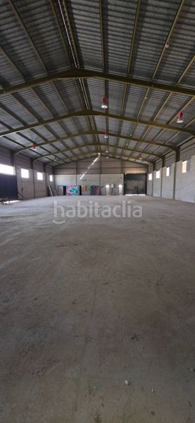 Foto 9f1f9634-49ca-4034-9822-bc7706c6a942. Nau industrial a camino entrepinos a 4 a Pedanías Este Aspe