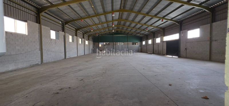 Foto b6116f73-3233-4582-9cbf-2e9aa4c010cd. Nau industrial a camino entrepinos a 4 a Pedanías Este Aspe