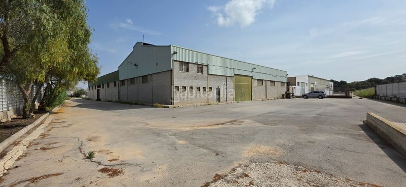 Foto ca4717cf-be9d-4b26-aa23-551f7deb47db. Nau industrial a camino entrepinos a 4 a Pedanías Este Aspe