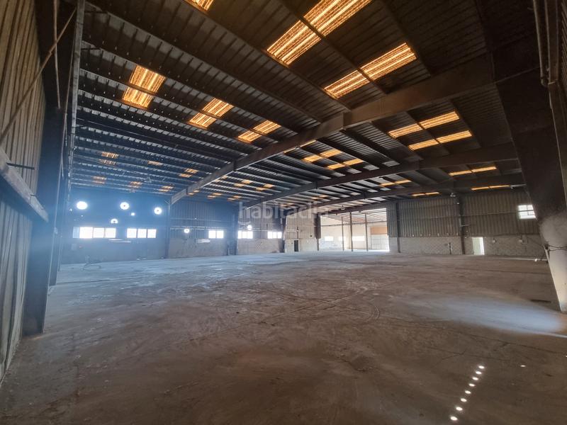 Foto 6b592b5b-2732-458c-87e0-30ac72be1237. Capannone industriale in camino entrepinos b 26 in Aspe