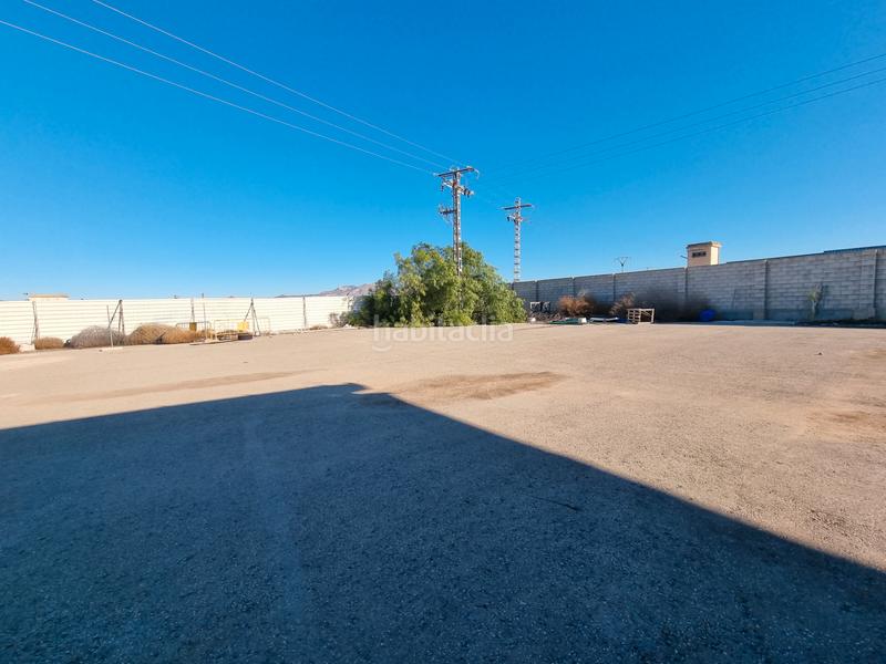 Foto a41ffa6b-6929-4bf0-a59d-d2dd7acab56c. Capannone industriale in camino entrepinos b 26 in Aspe