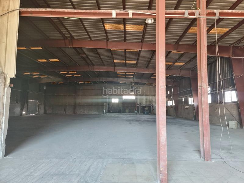 Foto d73f3b1a-53aa-4816-960f-a123fd69be5a. Capannone industriale in camino entrepinos b 26 in Aspe