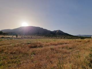 Propriété  N/a. Finca rustica 78.000 m2 en venta o alquiler