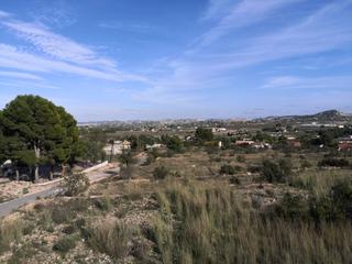 Finca rústica a N/a. Finca de 20.184 m2 en la ofra - aspe