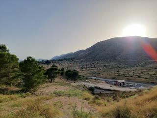 Propriété à N/a. Finca de 500.000 m2 - la mallorquina