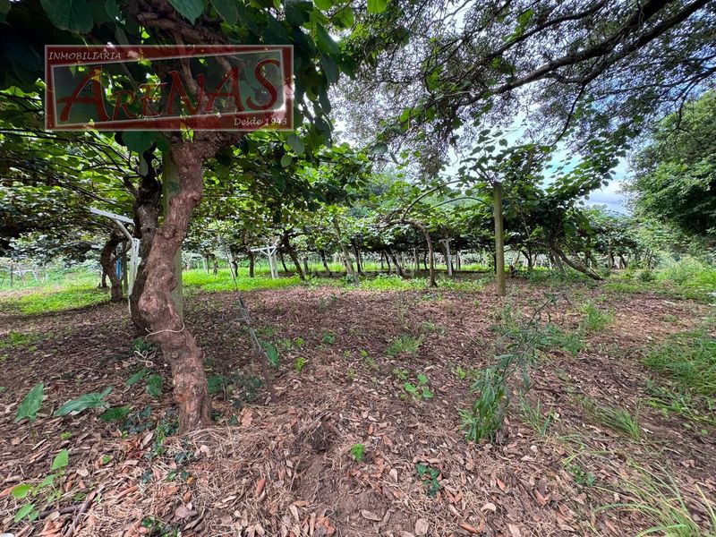 Foto 1c3f596b-b8b2-43a3-9e59-1494cefad038. Finca rústica a n/a a Marina de Cudeyo