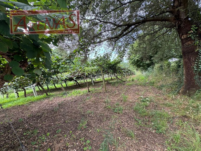 Foto 538be945-5789-4306-a443-eb9145e764ab. Finca rústica a n/a a Marina de Cudeyo