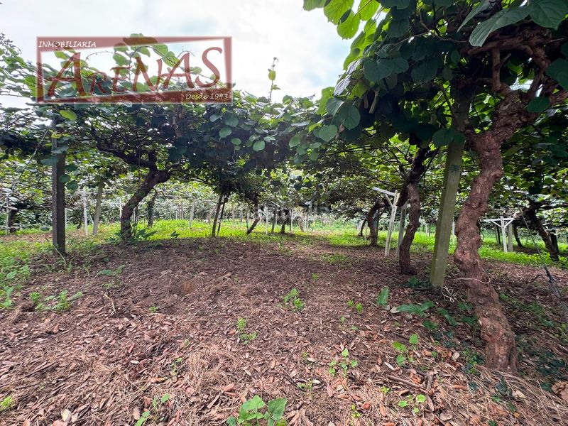 Foto 574f9d29-1730-4919-bcf8-067d29e57452. Finca rústica a n/a a Marina de Cudeyo
