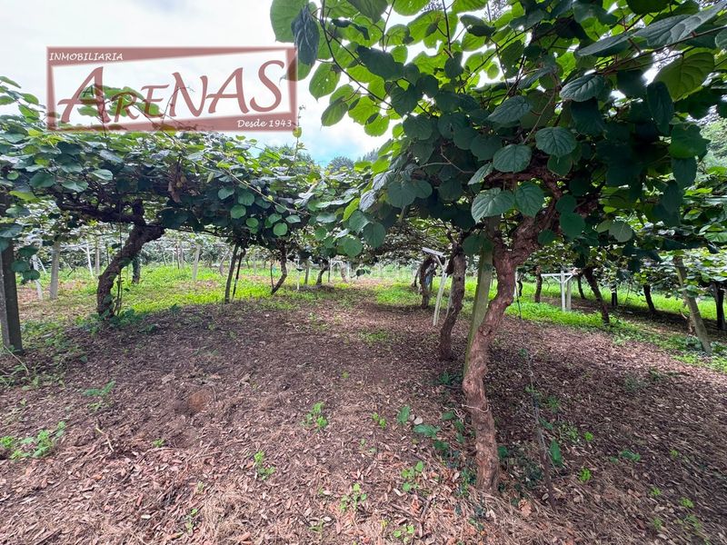Foto a75be3f6-d351-440d-955a-018363f31a0c. Finca rústica a n/a a Marina de Cudeyo