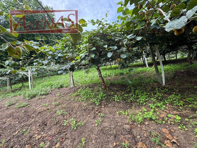 Foto abbf68e6-ea4d-40b0-a237-4bdd48fc8b0e. Finca rústica a n/a a Marina de Cudeyo