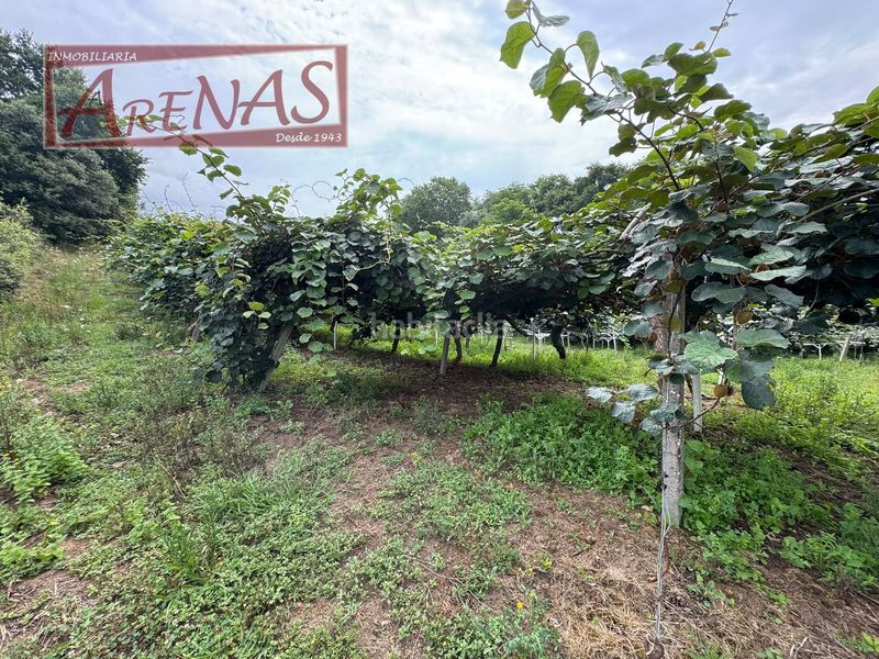 Foto b88e19f4-bba6-4f62-b122-a07a5c6ff8bc. Finca rústica a n/a a Marina de Cudeyo