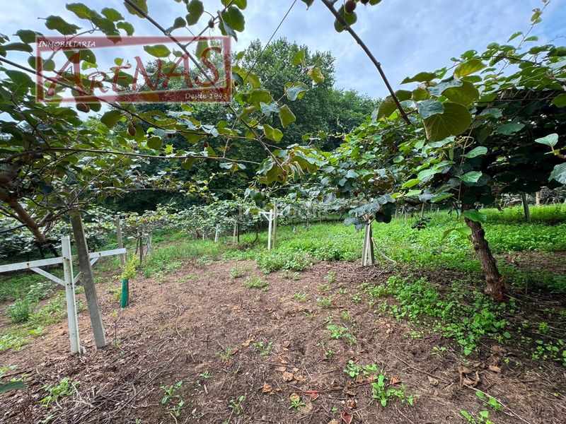 Foto cf12551c-c0fa-411c-a9e4-40a50d212c02. Finca rústica a n/a a Marina de Cudeyo