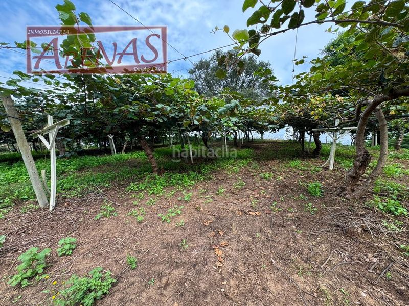 Foto 67e1c366-94c8-4cbb-800f-f7ac08a95a8a. Finca rústica en n/a en Marina de Cudeyo