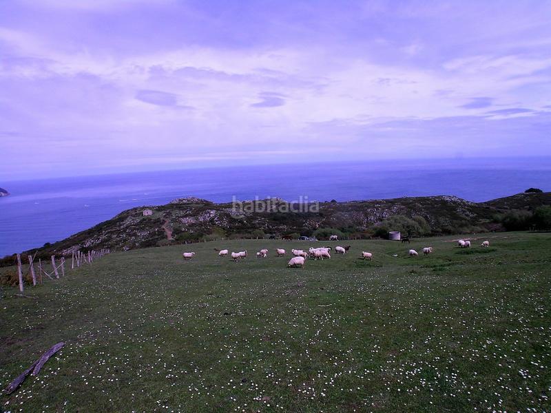 Foto ede7de97-8743-4507-a490-08e72d3a3273. Terrain résidentiel dans diseminado Laredo 215 dans Laredo
