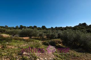 Rural plot in Urbanitzacions de Llevant. En funcionamiento, acceso fácil a 5 km de tarragona ciudad