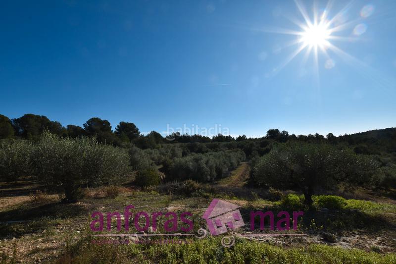 Foto 71580b2d-b5df-44be-94a0-518896b25873. Fondo rustico in Urbanitzacions de Llevant Tarragona