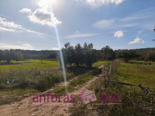 Landgut in Riera de Gaià (La)