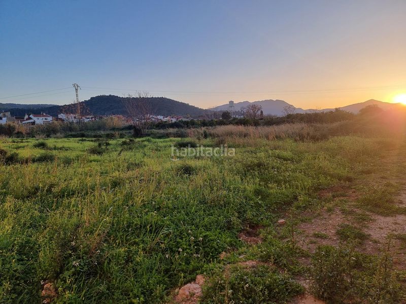Foto 1c7bb7d9-43d2-4621-9783-a2d211a92e0f. Finca rústica a Palmera