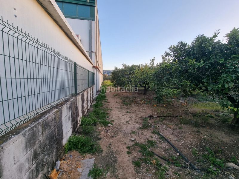 Foto 463f2d8d-c260-4954-ac4e-68e4e30197ed. Finca rústica a Palmera