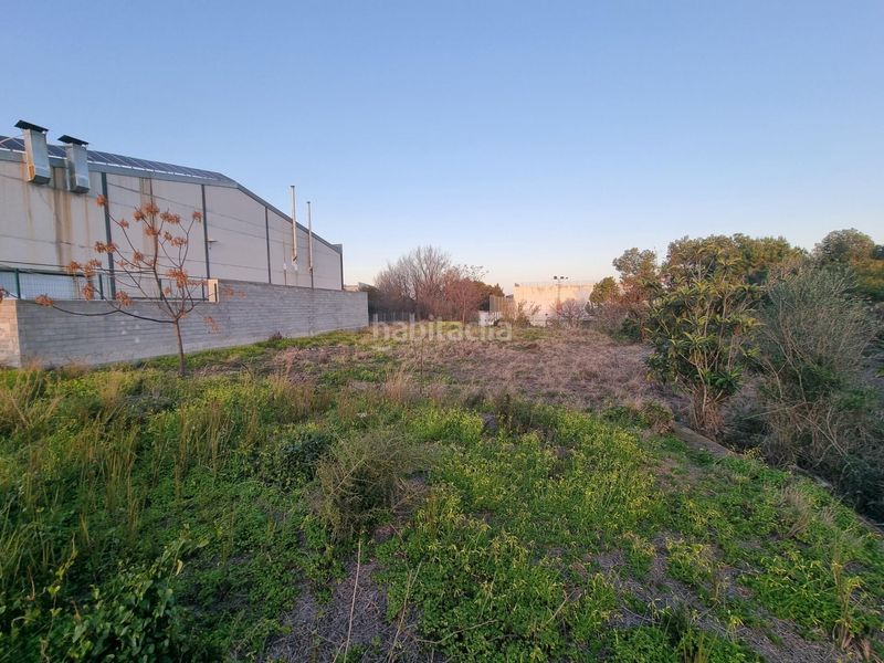 Foto 67e5ab58-f001-4747-9fbe-c0e95e88dff1. Finca rústica a Palmera