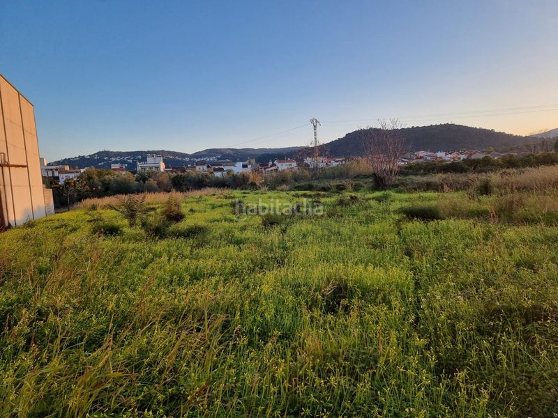 Foto c1b029e5-e090-41d1-883b-3d5d8d37d0e3. Finca rústica a Palmera