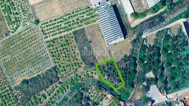 Foto 5aede0d9-a6a6-4996-9d61-410bfaeb18a3. Finca rústica a Palmera