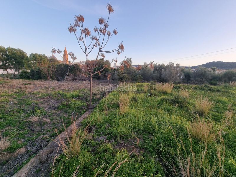 Foto a7995d0e-f79c-4710-8fae-4f1db0c9d570. Finca rústica a Palmera