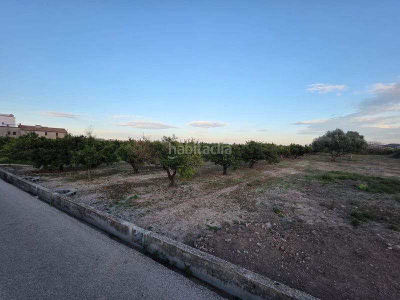 Foto 0c1ff79b-2c48-4c71-a635-45b89bb39c2b. Finca rústica a Alqueria de la Comtessa (l´)