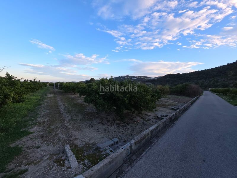 Foto 1784243e-ca7d-43fb-a496-ff85972e8a3e. Finca rústica a Alqueria de la Comtessa (l´)
