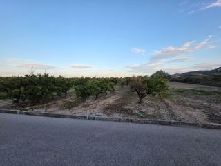 Finca rústica a Alqueria de la Comtessa (l´). Terreno rustico en lalqueria de la comptessa