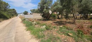 Terreno residenziale  Avenida de luis pericot. Terreno urbano en montañala drova