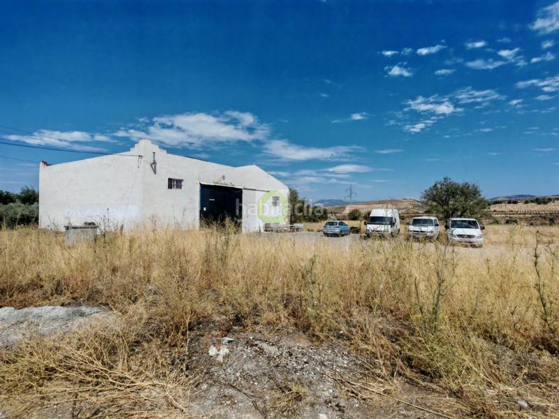 Foto f6b36746-f842-4825-a986-ddcfade67d9a. Nave industrial nave en Dílar