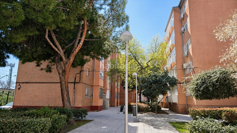 Foto 8bfff734-3aa4-4952-914a-bb15b02778db. Pis a San Cristóbal Madrid