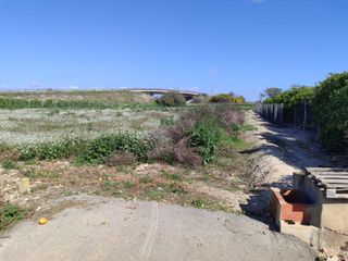 Finca rústica en Formentera del Segura. Bancal en venta en formentera del segura