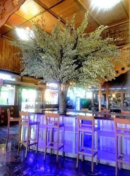 Foto a19d9534-7897-4591-b110-a2b141a53c08. Alquiler local comercial traspaso o alquiler de local para eventos en Elche / Elx