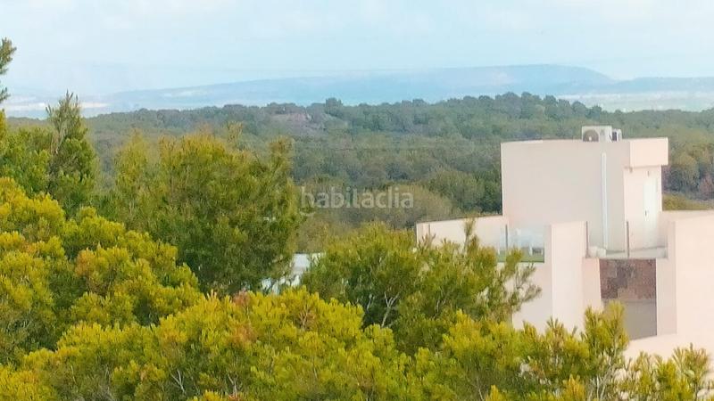 Foto 982b3921-354d-4a15-8ae6-bc970fe7c05c. Chalet en Los Almendros Orihuela