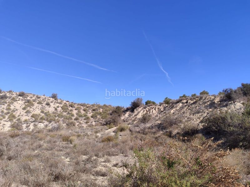 Foto 0f0827b6-1b28-487f-8011-1fdab60ee745. Finca rústica en Abanilla