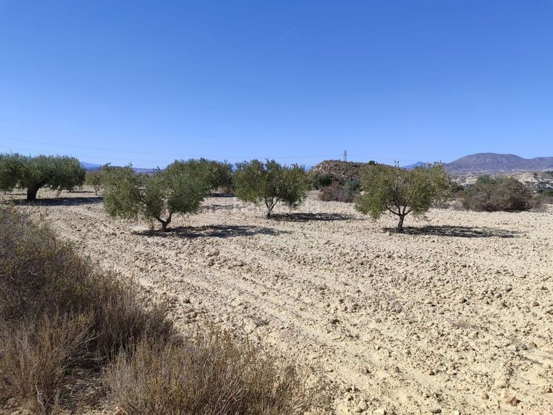 Foto 358923ab-1c6e-4740-8d06-2e08f26ccd52. Finca rústica en Abanilla