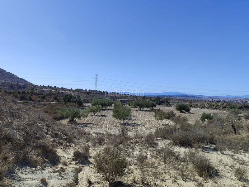 Foto 4f9df469-98a0-4451-957b-907674bcf495. Finca rústica en Abanilla