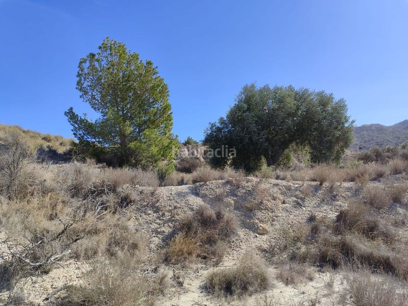 Foto 81c439a7-95b3-4f82-bb8d-125375d1caa0. Finca rústica en Abanilla