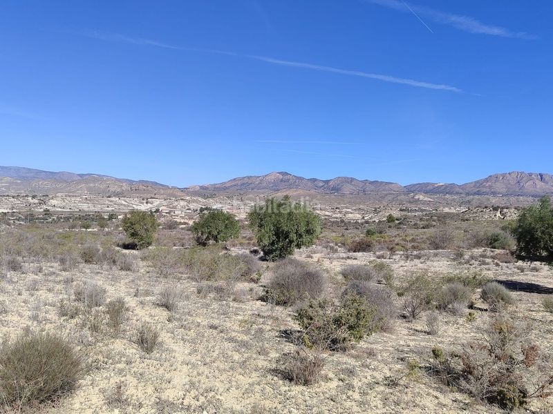 Foto a2d8f64b-6c78-43c0-a98d-3c536122beeb. Finca rústica en Abanilla